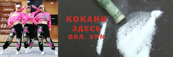 индика Балахна