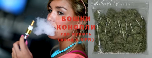 индика Балахна