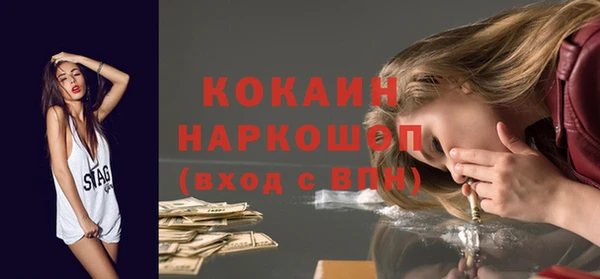 индика Балахна