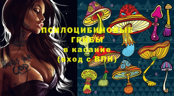 мдпв Балабаново