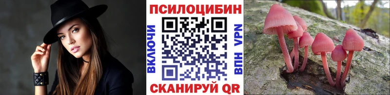 Галлюциногенные грибы GOLDEN TEACHER  купить   Сковородино 
