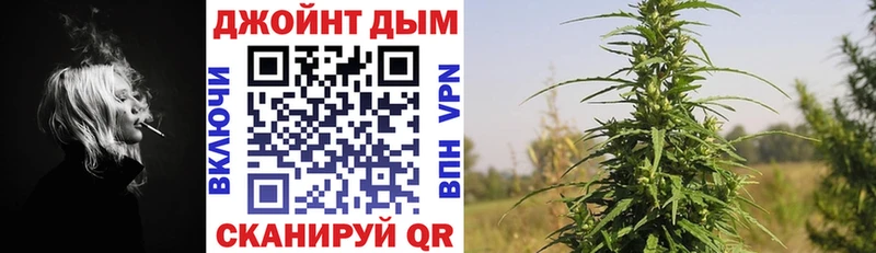 Шишки марихуана планчик  Сковородино 